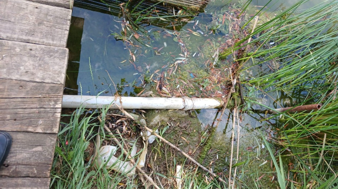 Tullantı sularının axıdılmasına görə obyekt sahibləri cəzalandırıldı 