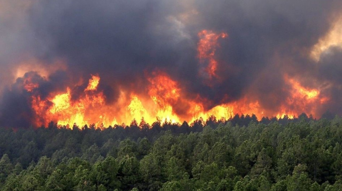 Suqovuşandakı yanğın tam söndürüldü