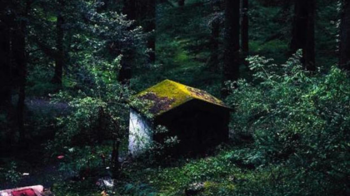 Rəfiqəsini qorxutmaq istəyərkən həyatını itirdi