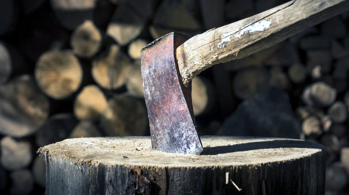 Ağacların qanunsuz kəsilməsinə görə yaşıllıqlara 75 min manatdan çox ziyan dəyib 