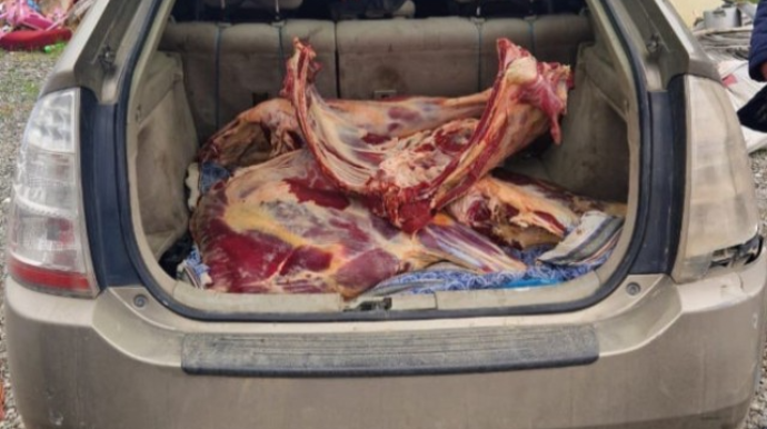 “Toyota Prius”da 92 kq mənşəyi məlum olmayan ət aşkarlandı 