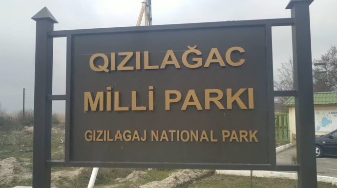 Qızılağac Milli Parkında elektrik cərəyanı ilə ov edən şəxs saxlanıldı  - FOTO