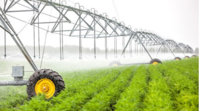 Prezident Biləsuvarda əkin sahələrinin su təminatının yaxşılaşdırılması üçün pul ayırdı