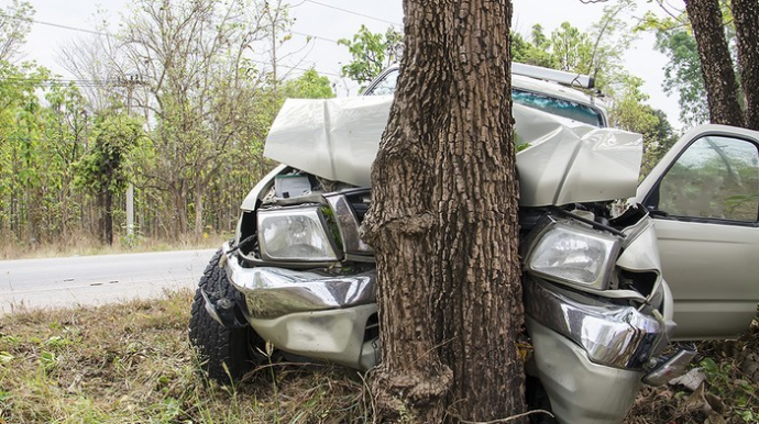 Göyçayda avtomobili ağaca çırpılan sürücü ölüb 
