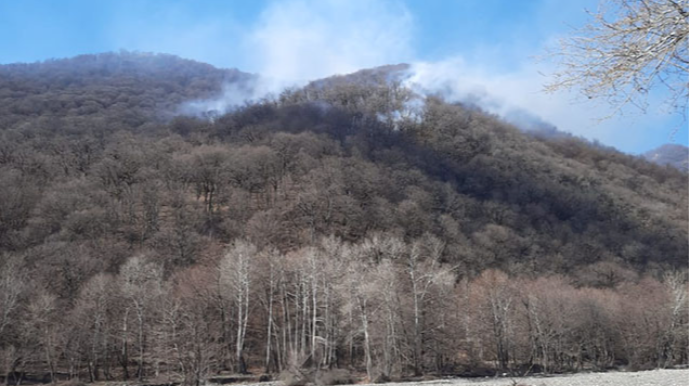 Meşədən 43 yaşlı kişinin meyiti tapıldı 