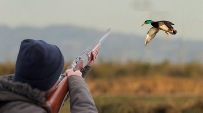 Qanunsuz ov edən xarici vətəndaşlar saxlanıldı