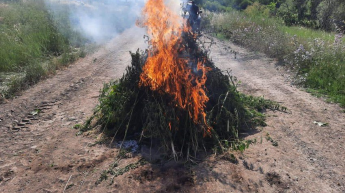 İşğaldan azad edilən ərazidə narkotik aşkarlandı  - FOTO
