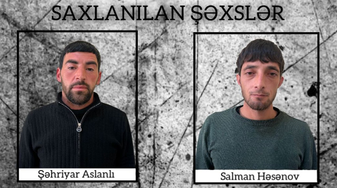 Bu şəxslər Şirvanda çətənə kolları yetişdirirmişlər - VİDEO