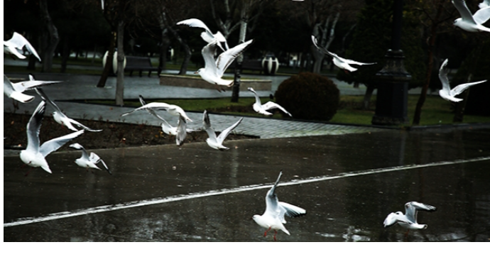 Yaxın 3 gündə hava necə olacaq?