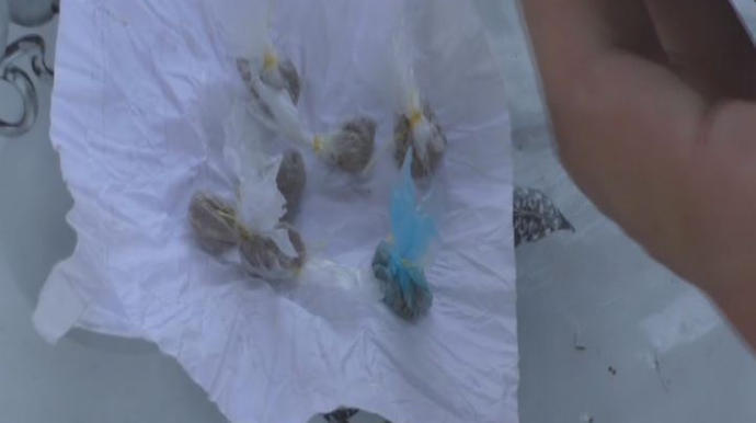 İstixanada narkotik yetişdirən Göyçay sakini saxlanılıb - FOTO