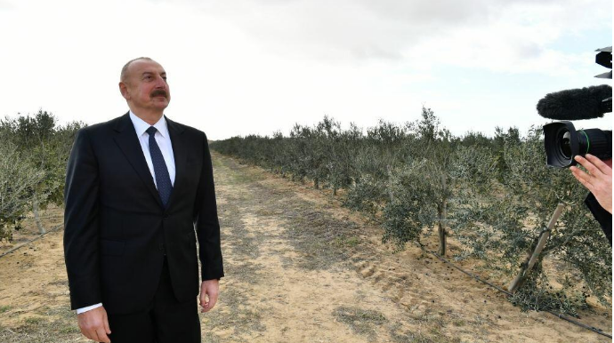 İlham Əliyev:  Ölkə daxilində minlərlə iş yeri yaratmaq planlarımız var