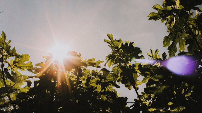 Sabahın hava proqnozu açıqlanıb 