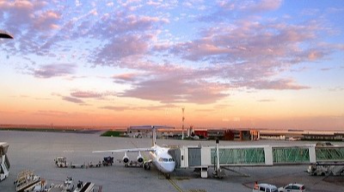 Venesiya hava limanı qağayılara görə bağlandı