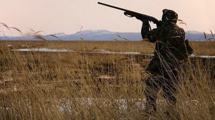 В Азербайджане иностранец задержан за незаконную соколиную охоту  - ФОТО