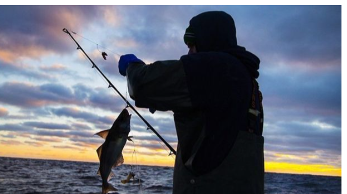 Balıq ovlamaq qadağası bitdi? - VİDEO