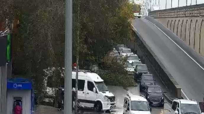 Bu prospektdə  ağac yola aşıb: TIXAC VAR - FOTO 