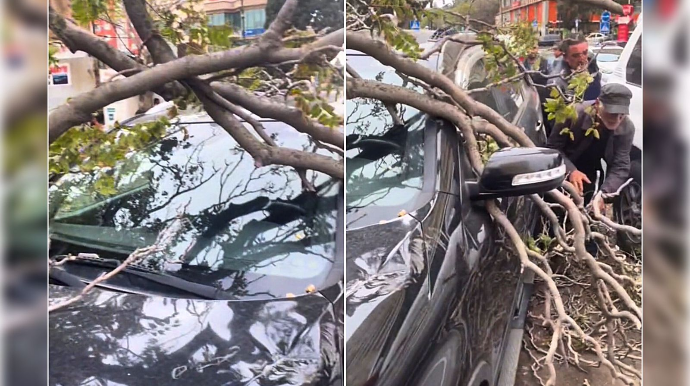 Qopan ağac park edilmiş avtomobilin üstünə düşdü  - VİDEO
