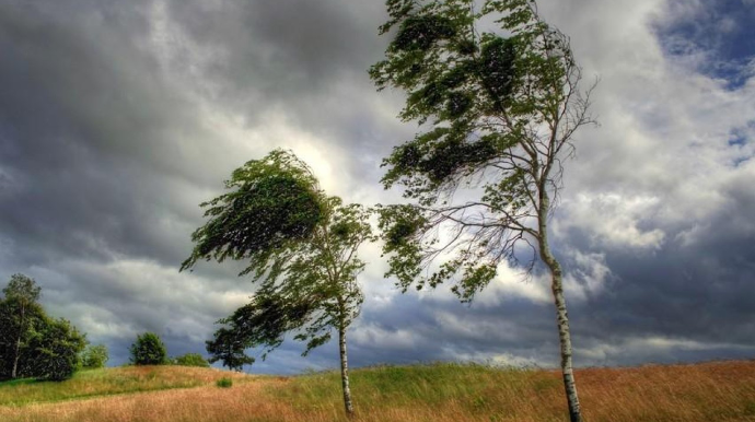 Küləkli hava şəraiti ilə bağlı xəbərdarlıq verildi - YENİLƏNİB