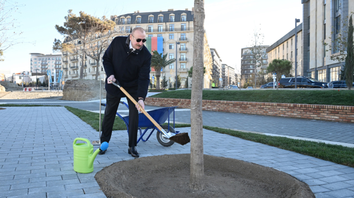Parkdakı ilk palıdı Prezident əkdi - FOTO - VİDEO 