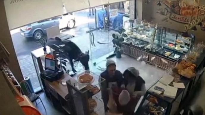 В Азербайджане буйвол ворвался в кондитерскую, есть пострадавшие - ВИДЕО