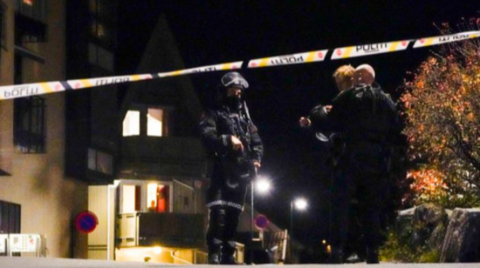 Раскрыты первые подробности о застрелившем из лука пятерых человек в Норвегии