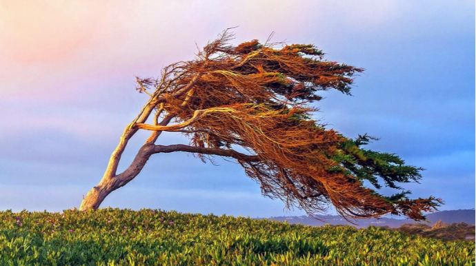 Küləkli hava şəraiti ilə bağlı sarı və narıncı XƏBƏRDARLIQ 