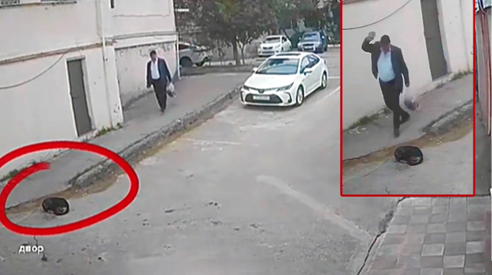 Heyvanlara qarşı rəhmsiz davranan şəxslə bağlı tədbir görüldü - VİDEO 