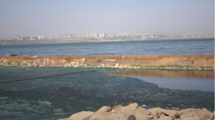 Böyük Şor gölünün 50 faizi çirkabdan təmizlənib - VİDEO 