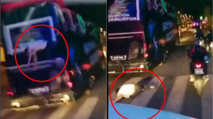 Futbolçu bayram paradında avtobusdan yıxıldı  - FOTO - VİDEO