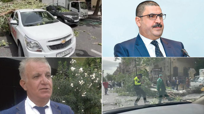 “Kimsə ağacın quru budağını kəsəndə ya cərimələyirlər, ya da rüşvət alırlar” – EKOLOQ QURUMLARI TƏNQİD ETDİ - VİDEO