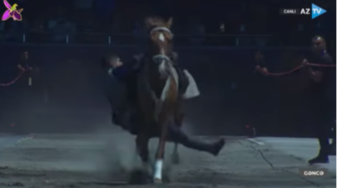 Cıdırdan Gəncəyə atlarla... - VİDEO