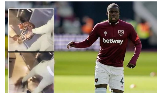 Pişiyinə işgəncə verən futbolçu həbs oluna bilər