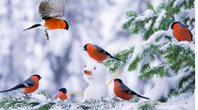Dekabr ayına olan hava proqnozu AÇIQLANDI 