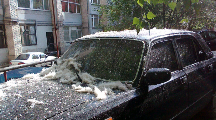 Раскрыта опасность тополиного пуха для машин