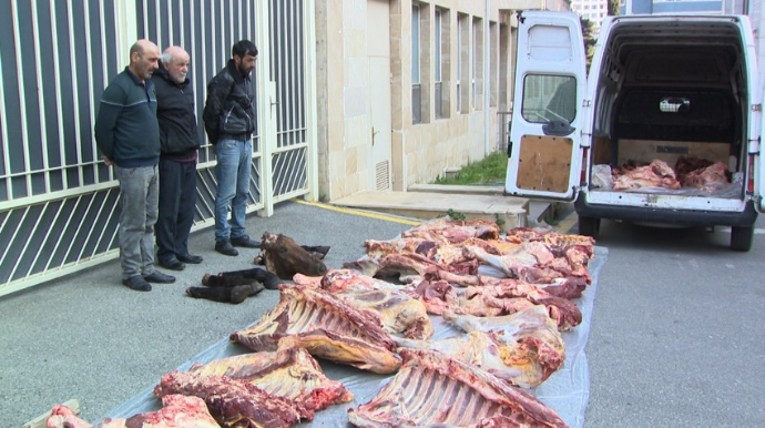 Xaçmazda yararsız 4 ton at və mal əti satan şəxslər həbs edilib  - FOTO - VİDEO