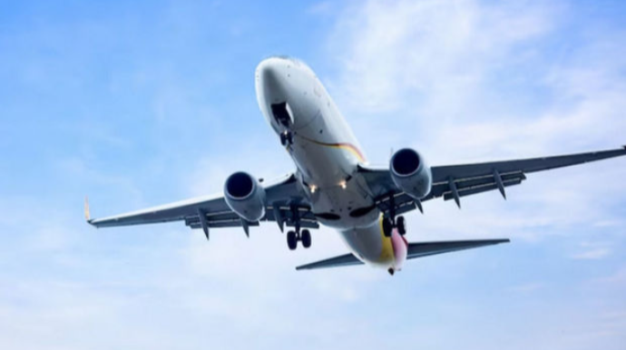 Rusiyadan Türkiyəyə uçan təyyarənin uçuşu təxirə salınıb - VİDEO 