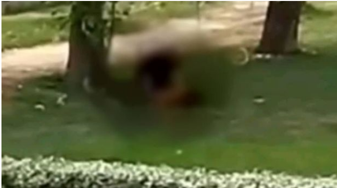 Qış parkında qadın və kişinin intim görüntüləri yayıldı - DİN-dən AÇIQLAMA - VİDEO 