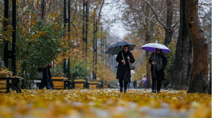 Noyabrın son günü hava necə olacaq? 
