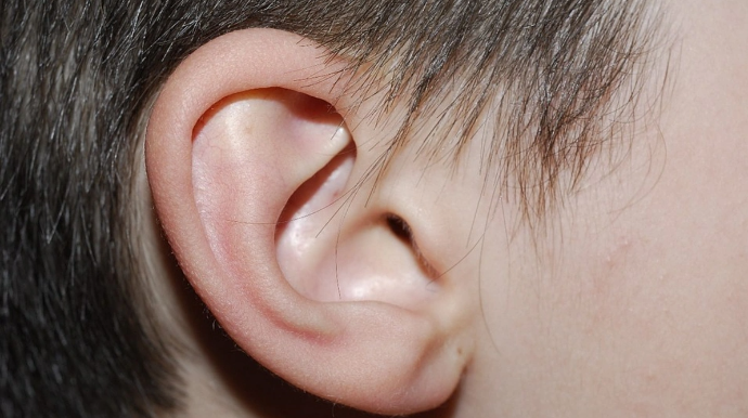 В Сумгайыте ссора между мужчинами закончилась откушенным ухом 