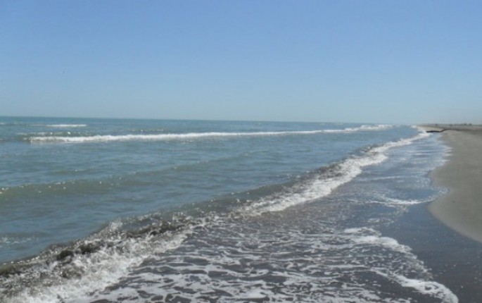 Qazaxıstan sərhədçiləri azərbaycanlılara atəş açdı - Ölən və yaralanan var