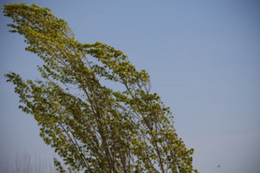 Bu gün hava küləkli olacaq