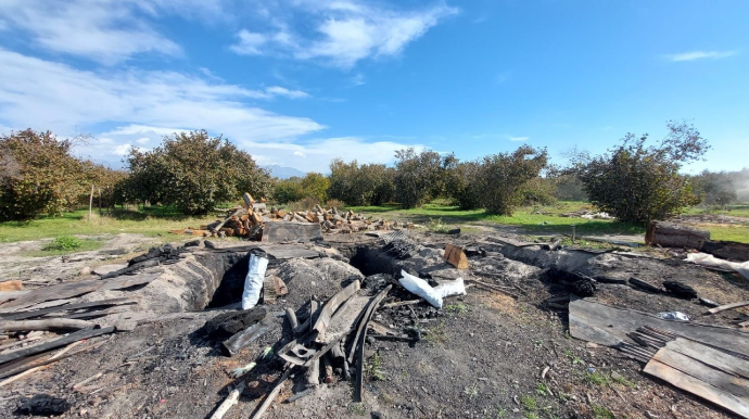 Oğuzda qanunsuz kömür quyuları aşkarlandı - FOTO 