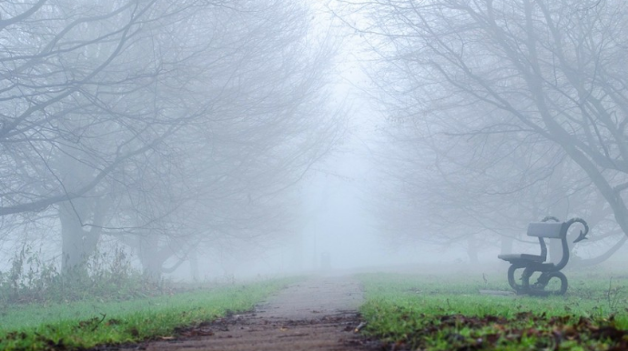 Umayra Tağıyeva: "Dumanlı hava şəraiti fevralın 26-sı səhərədək davam edəcək"