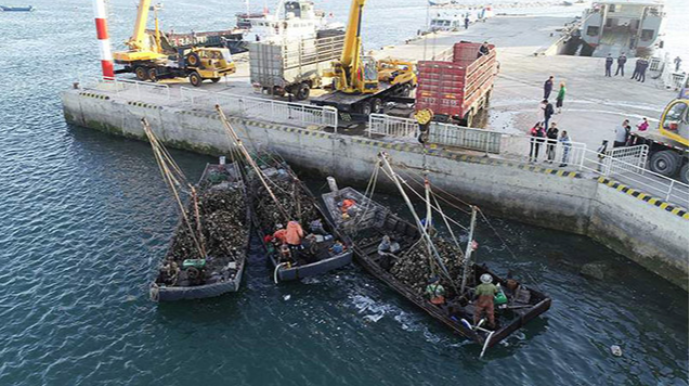 Çində iki gəmi toqquşdu - 9 nəfər itkindir 