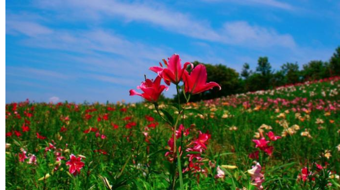 Martda hava necə olacaq? - PROQNOZ 