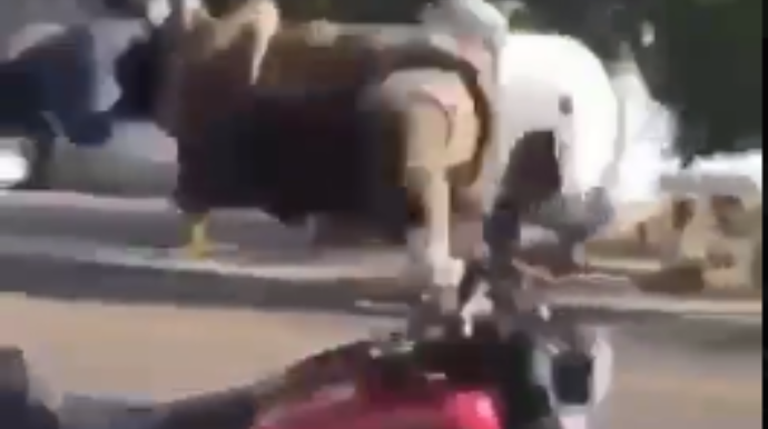 Motosikletlə "güləşən" bayker bu vəziyyətə düşdü  - VİDEO