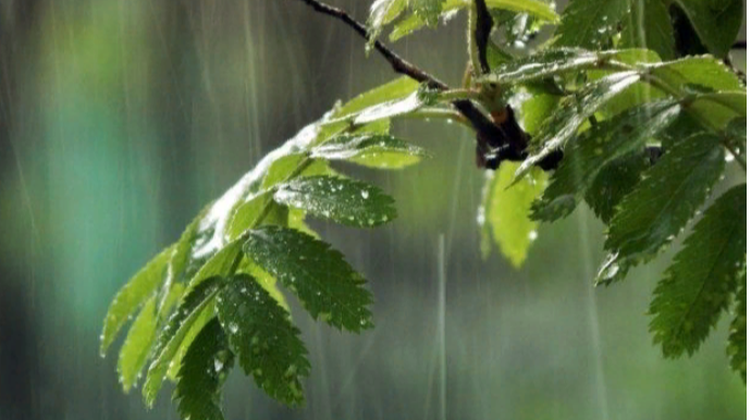 Sabahın havası: Güclü külək, leysan, dolu