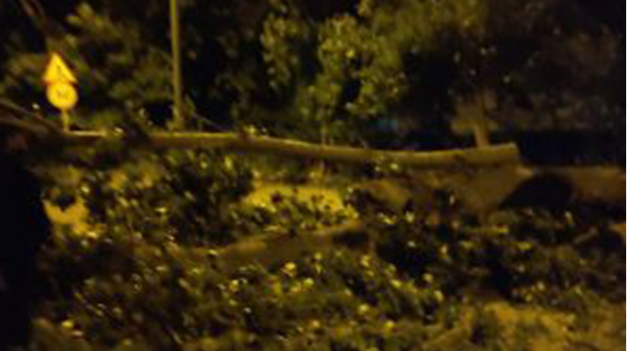 Mingəçevirdə güclü külək fəsadlara səbəb olub - FOTO