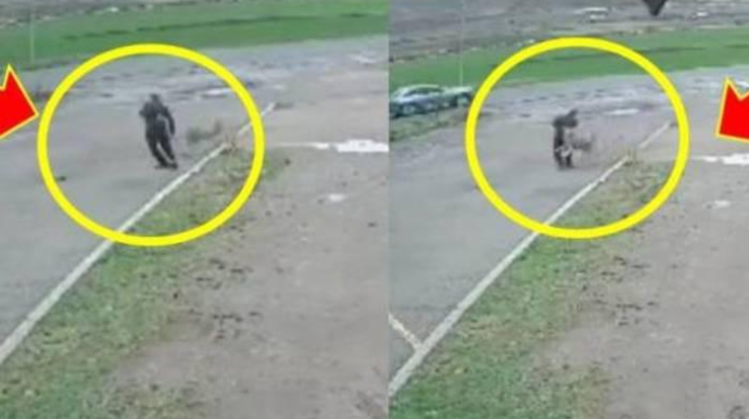 Canavar yanacaqdoldurmaya gələn erməniyə belə hücum etdi - VİDEO