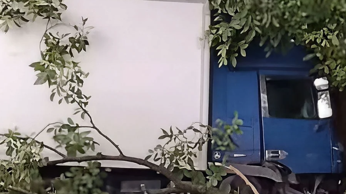 Qaxda ağır qəza: Yük avtomobili ağaca çırpıldı - VİDEO 